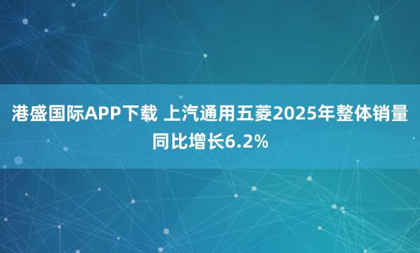 港盛国际APP下载 上汽通用五菱2025年整体销量同比增长6.2%