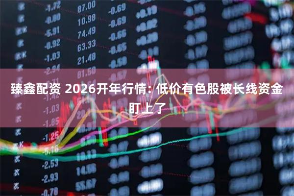 臻鑫配资 2026开年行情: 低价有色股被长线资金盯上了